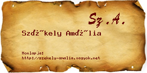 Székely Amália névjegykártya