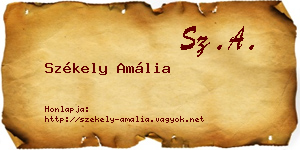 Székely Amália névjegykártya